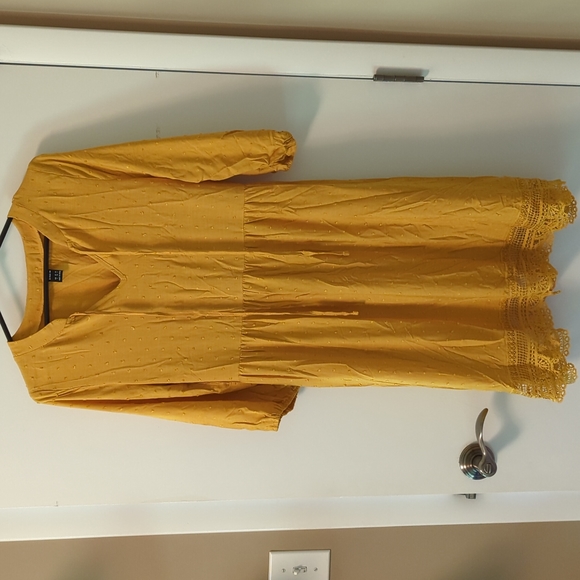 NWT Swiss Dot Tie Neck Lace Hem Dress - Picture 2 of 9